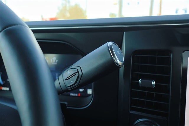 2025 Ford Super Duty F-450 Platinum DRW